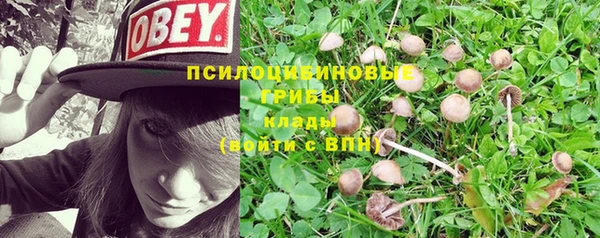 соль курить ск Алексин