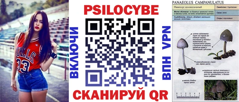 ссылка на мегу зеркало  Ессентукская  Псилоцибиновые грибы ЛСД 